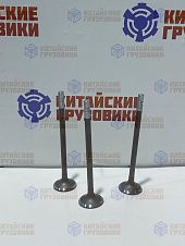 Клапан выпускной FAW J6 3310,4250 *